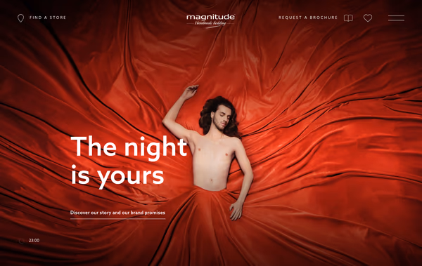 Magnitude
