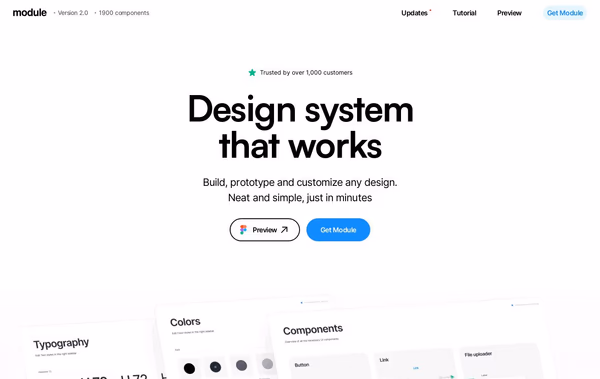 Module System