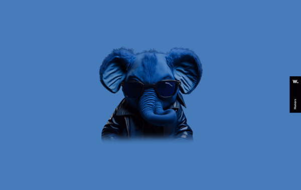 DevelopMonster
