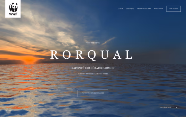 Rorqual